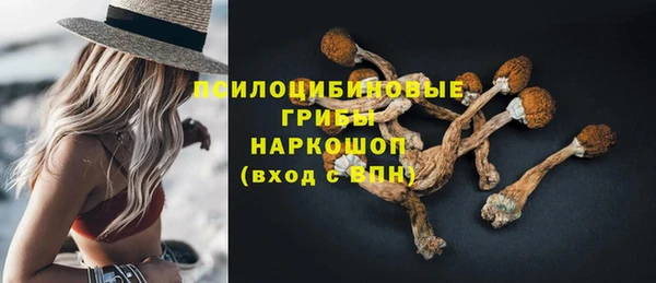 меф Белокуриха