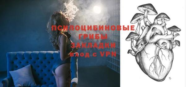 меф Белокуриха