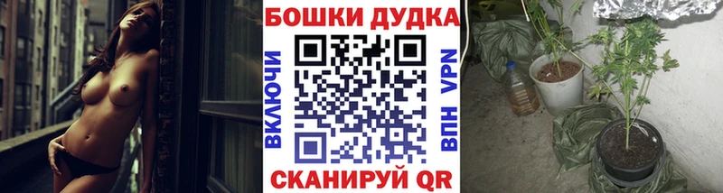 сайты даркнета какой сайт  ссылка на мегу как войти  Кохма  Бошки Шишки MAZAR 